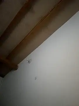 Rexxxy777 online show from April 24, 2026, 6:04 am