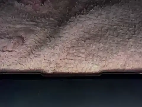 Snapshot of OherDav chatting on February 25, 2026, 7:41 am OherDav online show from February 25, 2026, 7:41 am