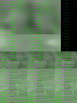 Uma pande online show from December 21, 2025, 2:52 pm