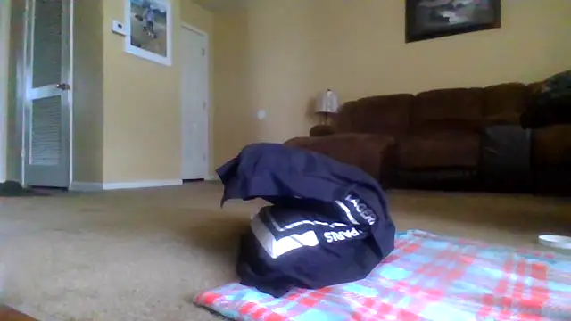 KingDes55 online show from April 14, 2026, 5:51 pm