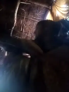 Kiran bhabi online show from January 7, 2026, 11:59 am