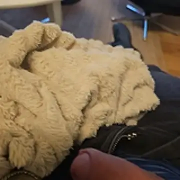 Snapshot of Puntadelteno chatting on January 5, 2026, 8:01 pm Puntadelteno online show from January 5, 2026, 8:01 pm