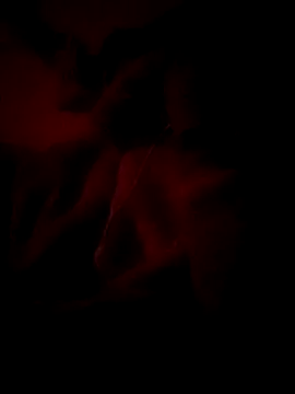 Snapshot of Premraj_radherani chatting on January 6, 2026, 6:34 pm Premraj radherani online show from January 6, 2026, 6:34 pm