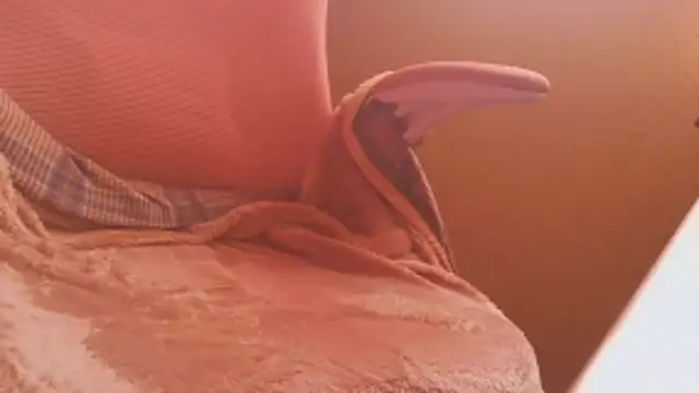 Snapshot of Michaelo666 chatting on February 11, 2026, 11:21 am Michaelo666 online show from February 11, 2026, 11:21 am