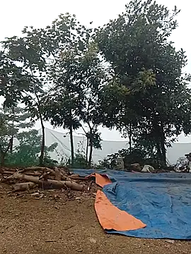 Menlike69 online show from January 9, 2026, 2:07 am