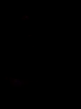 Snapshot of honorhorny chatting on February 5, 2026, 11:00 pm honorhorny online show from February 5, 2026, 11:00 pm