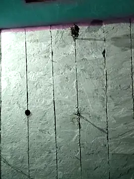 Mehjab Love online show from April 2, 2026, 4:02 pm