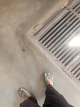 daksh  8 inche online show from February 26, 2026, 5:07 am