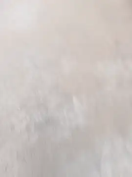 daksh  8 inche online show from April 7, 2026, 1:51 am