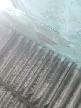 Snapshot of HoMann69 chatting on January 9, 2026, 1:29 pm HoMann69 online show from January 9, 2026, 1:29 pm