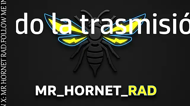 s hornet online show from April 8, 2026, 2:40 pm
