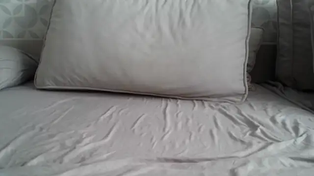 apollo81 online show from February 18, 2026, 9:50 am