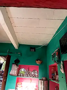 Savita jatav online show from February 15, 2026, 3:07 am