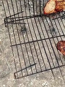 GanaderoMorboso online show from April 12, 2026, 12:19 pm