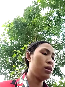 xiaogoal online show from July 12, 2026, 2:34 am