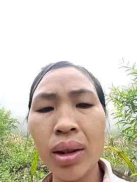 xiaogoal online show from July 22, 2026, 2:35 am