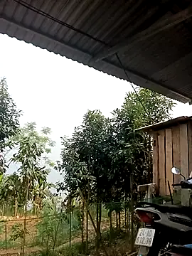 xiaogoal online show from April 14, 2026, 2:05 am