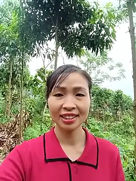 xiaogoal online show from June 11, 2026, 3:14 am