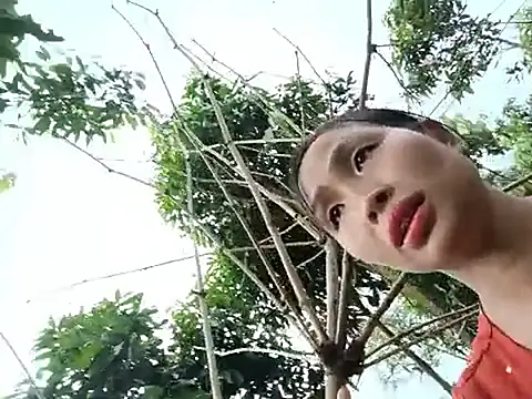 xiaogoal online show from July 7, 2026, 7:34 am