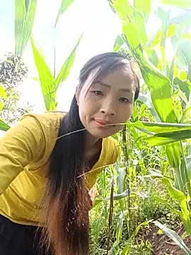 xiaogoal online show from July 5, 2026, 1:21 am
