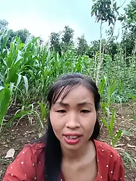 xiaogoal online show from June 20, 2026, 11:48 am