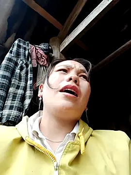 Snapshot of vanvan005 chatting on January 19, 2026, 6:06 am vanvan005 online show from January 19, 2026, 6:06 am