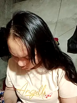 Snapshot of vanvan005 chatting on January 17, 2026, 11:30 pm vanvan005 online show from January 17, 2026, 11:30 pm