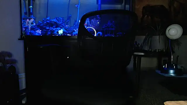 EspanolVato online show from March 19, 2026, 9:20 am