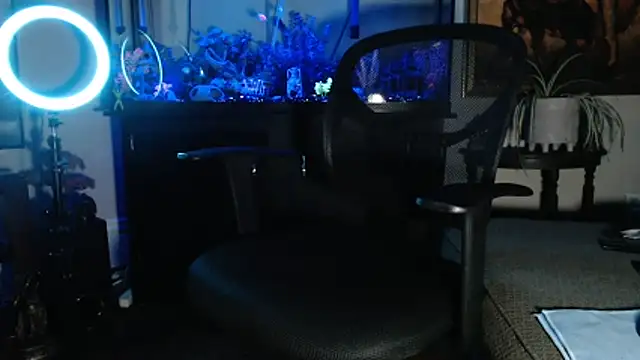 Snapshot of EspanolVato chatting on February 21, 2026, 9:44 am EspanolVato online show from February 21, 2026, 9:44 am