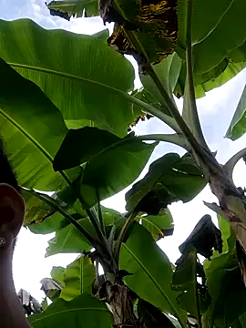 Wild and Sweets online show from January 11, 2026, 7:54 pm