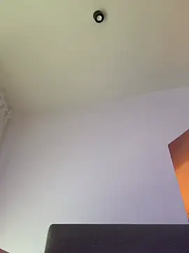 Snapshot of Dominic2295 chatting on January 17, 2026, 9:46 am Dominic2295 online show from January 17, 2026, 9:46 am