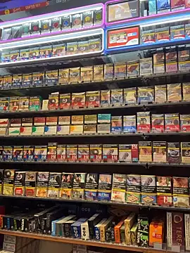 Snapshot of Dominic2295 chatting on February 13, 2026, 5:07 am Dominic2295 online show from February 13, 2026, 5:07 am