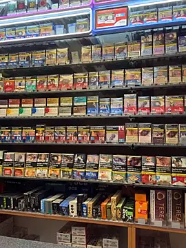 Snapshot of Dominic2295 chatting on February 18, 2026, 5:16 am Dominic2295 online show from February 18, 2026, 5:16 am