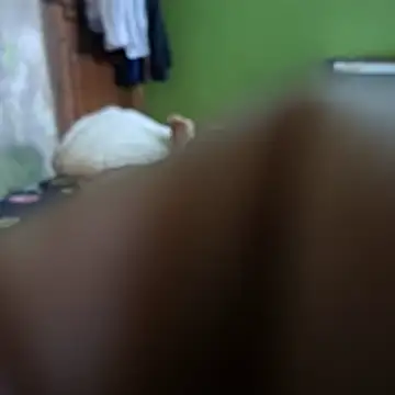 Mukto Akash online show from April 10, 2026, 7:04 am