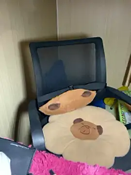 An-An19 online show from February 17, 2026, 2:47 pm