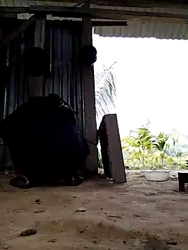 Ginny 2x online show from March 16, 2026, 4:09 am