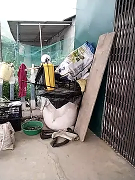 Snapshot of waaini99 chatting on April 1, 2026, 11:45 pm waaini99 online show from April 1, 2026, 11:45 pm