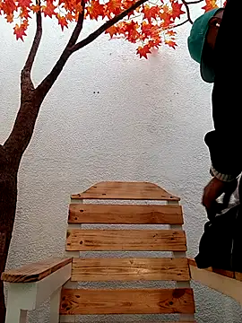 Dante Knox online show from March 11, 2026, 11:48 am