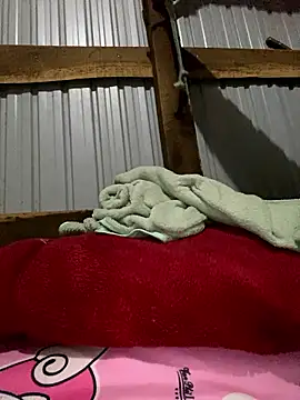 Xo xo237 online show from January 12, 2026, 1:56 am