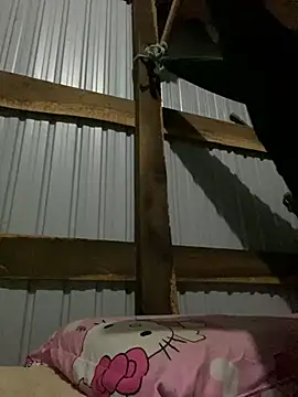 Xo xo237 online show from January 17, 2026, 8:23 pm