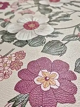 Snapshot of gjw900620 chatting on March 21, 2026, 8:19 am gjw900620 online show from March 21, 2026, 8:19 am