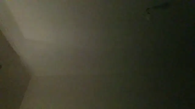 SnakeBit3s online show from May 16, 2026, 1:59 am