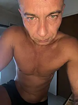 dogfrota online show from March 10, 2026, 4:05 am