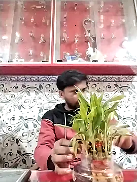 studio-my online show from February 11, 2026, 3:12 pm