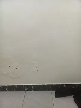 Snapshot of PatriciaVen chatting on February 3, 2026, 6:22 am PatriciaVen online show from February 3, 2026, 6:22 am