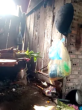 out-lustt online show from March 27, 2026, 8:01 am