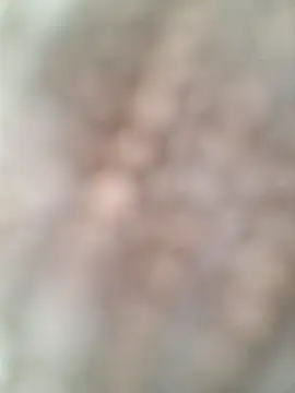 allenyalana online show from February 24, 2026, 3:57 pm