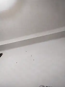 anastasiadaniela online show from February 12, 2026, 1:38 am