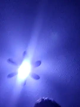 Snapshot of Daniel_Hernandez_ chatting on February 26, 2026, 6:35 am Daniel Hernandez online show from February 26, 2026, 6:35 am