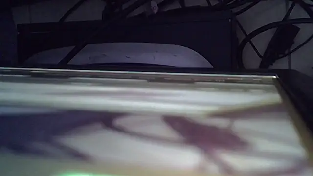 tekashi667 online show from July 9, 2026, 4:13 am